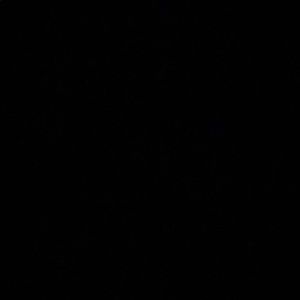 Meet your Posher, Delana